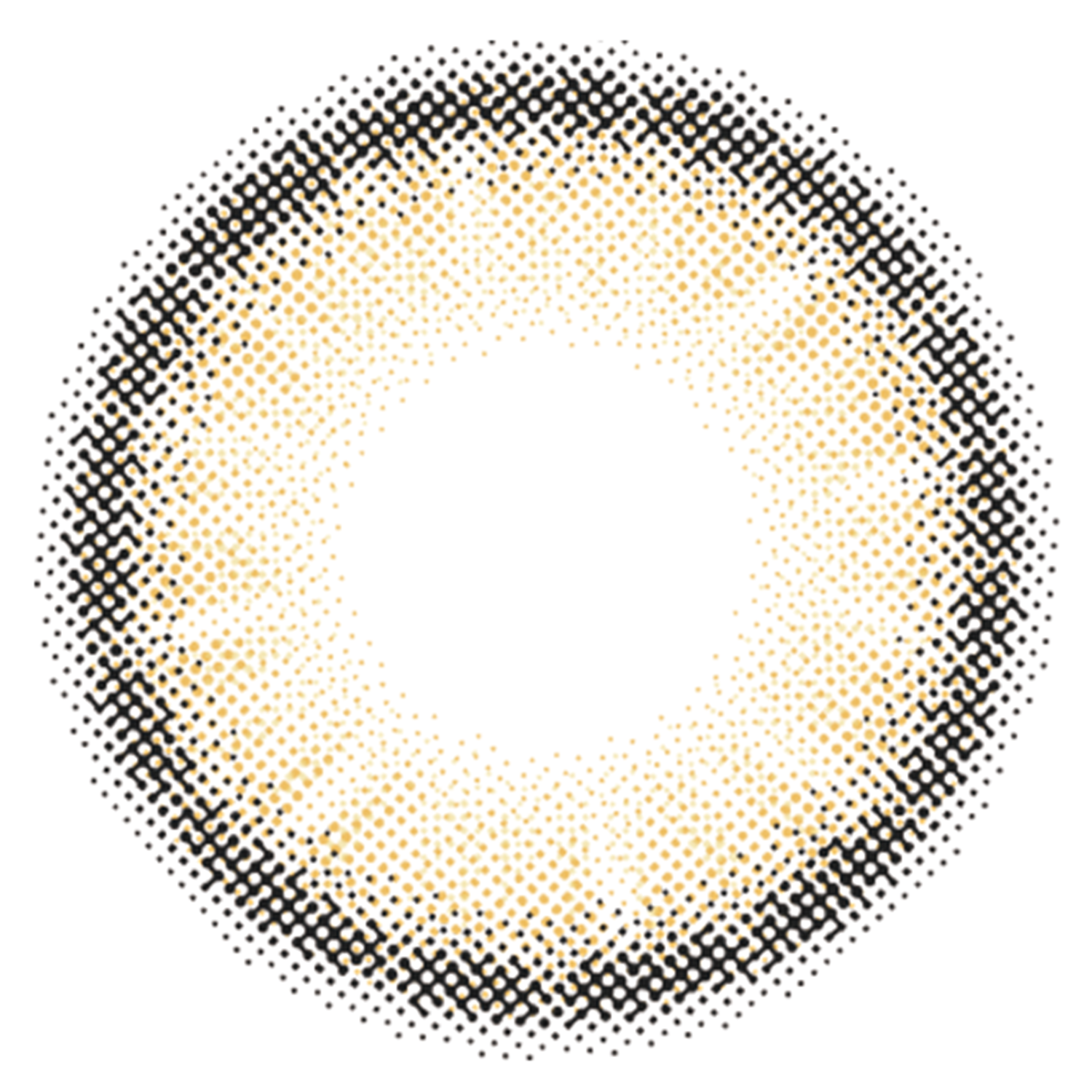 ชิบูย่า | 1วัน