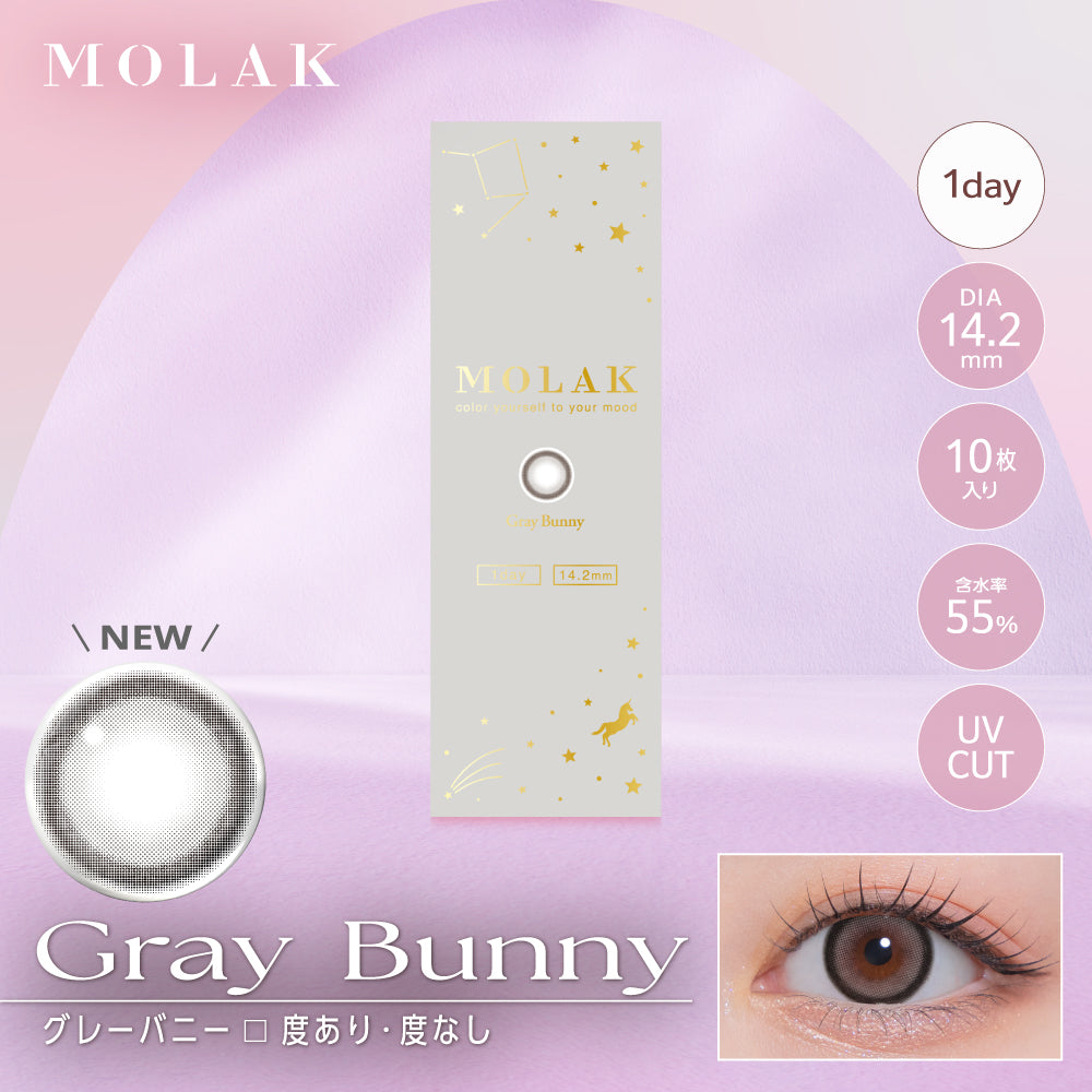 グレーバニー [MOLAK] | 1dayカラコン - DIA 14.2mm | Push!Color