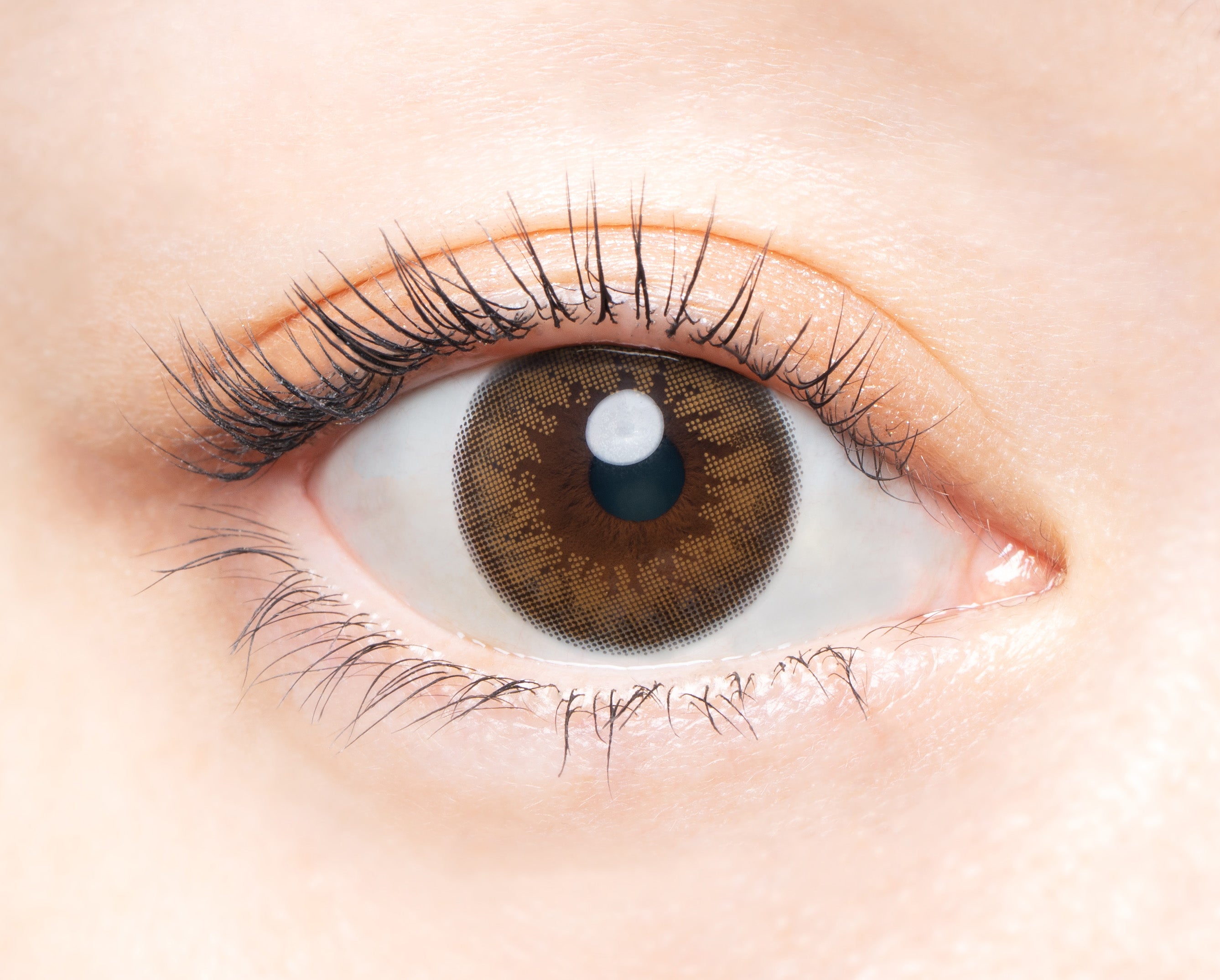 naturaleMarrone | 1 giorno