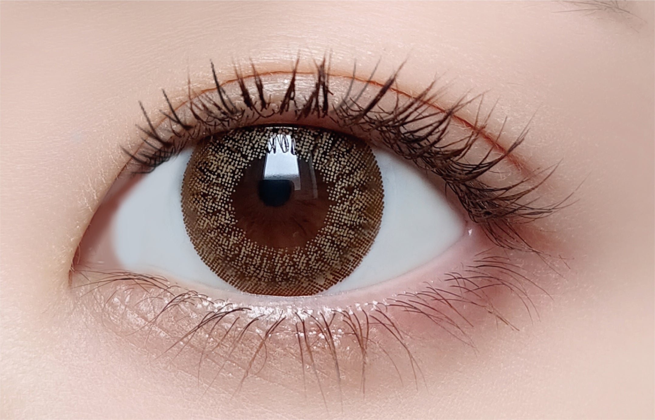 미미앰버 | 미미앰버 1일용