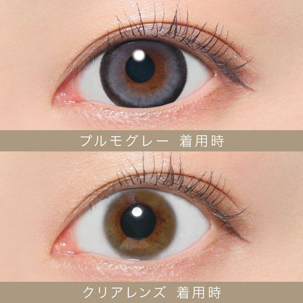 Nördlicher Schlangenkopf (Fischart, Channa argus)Gray | 1Tag