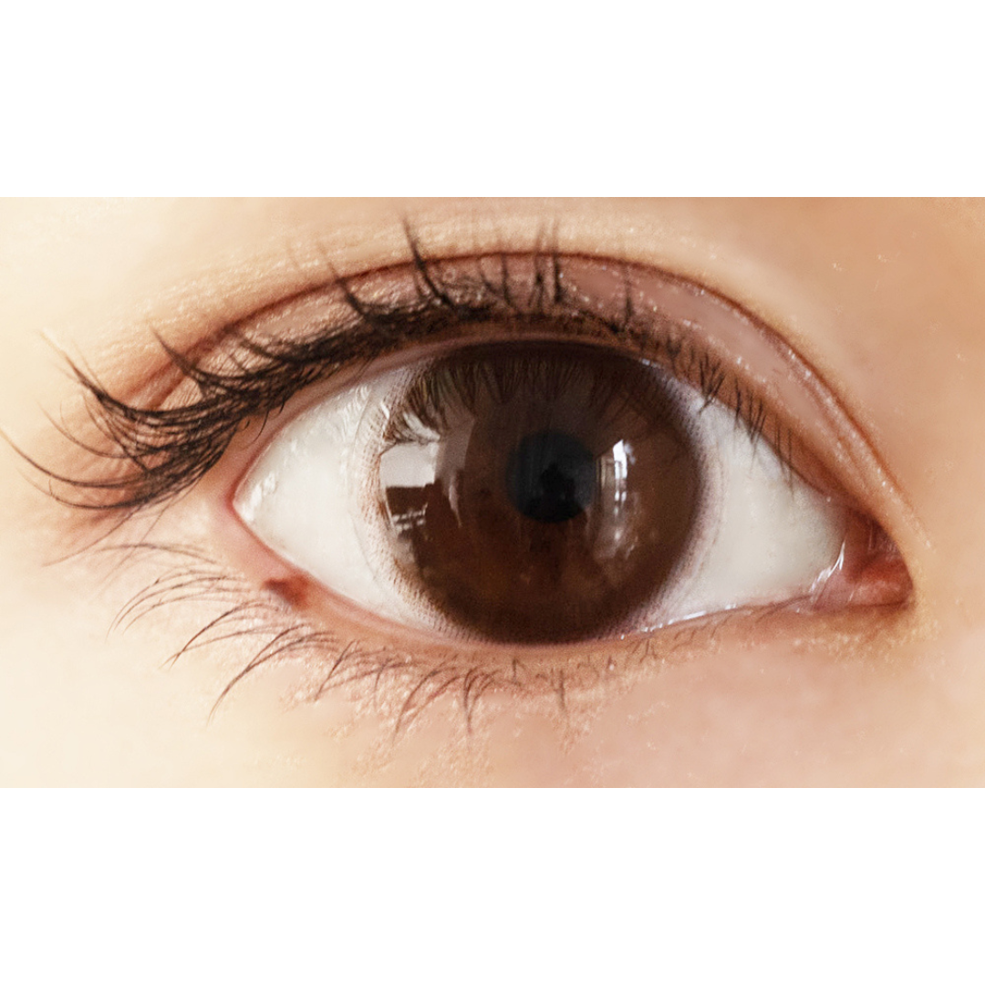 Grande Marrone | 1day