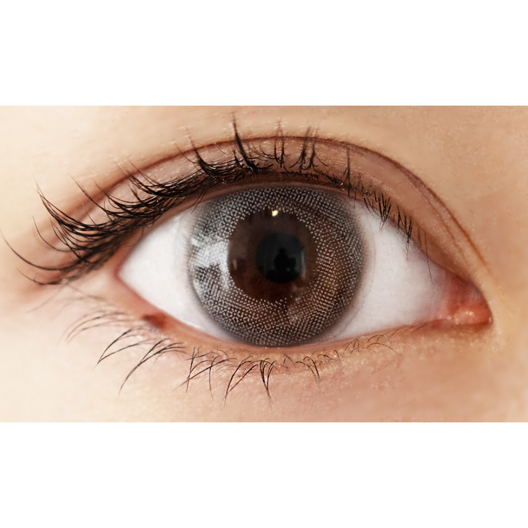 Americano Grigio | 1day