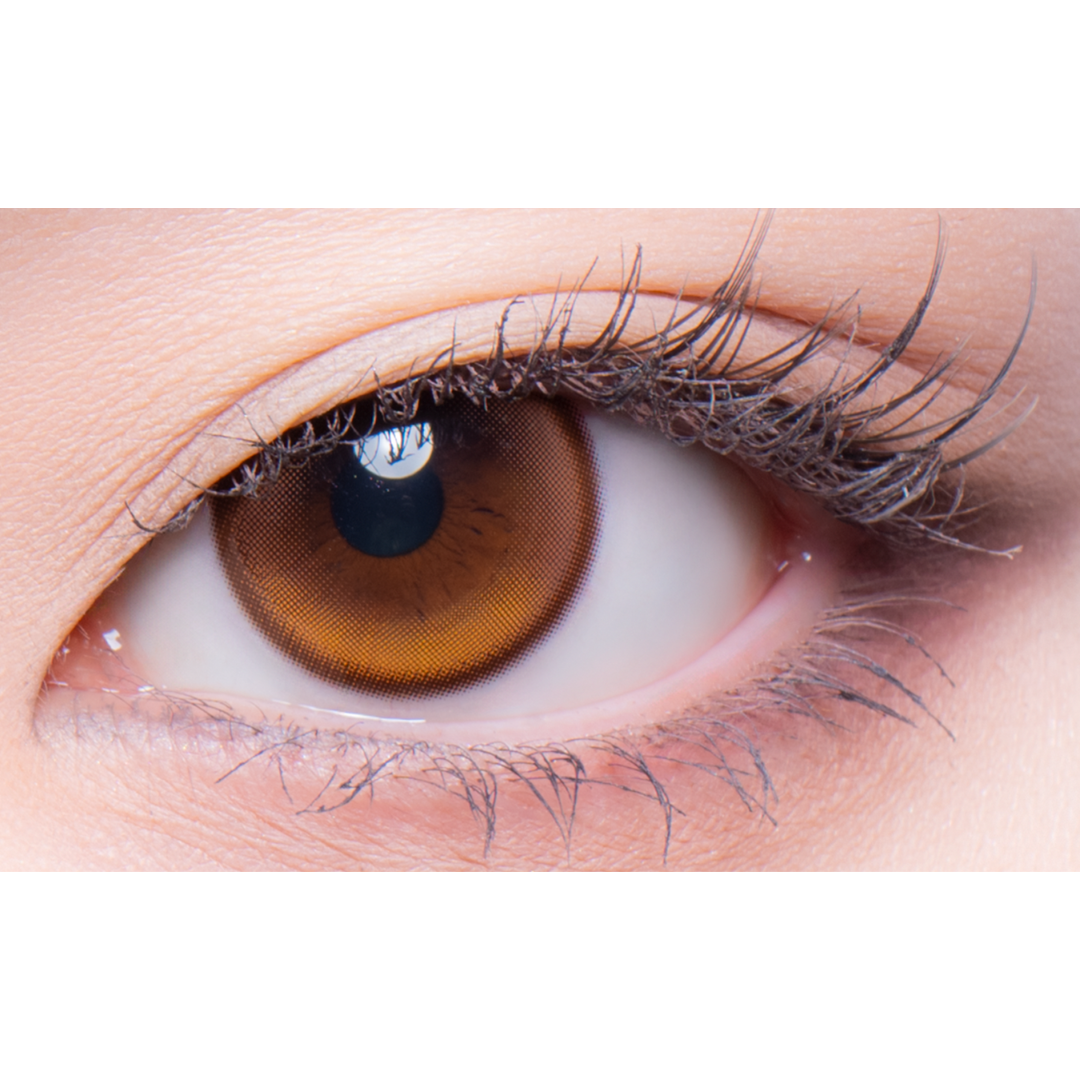 ฮ็อตตี้ | 1day