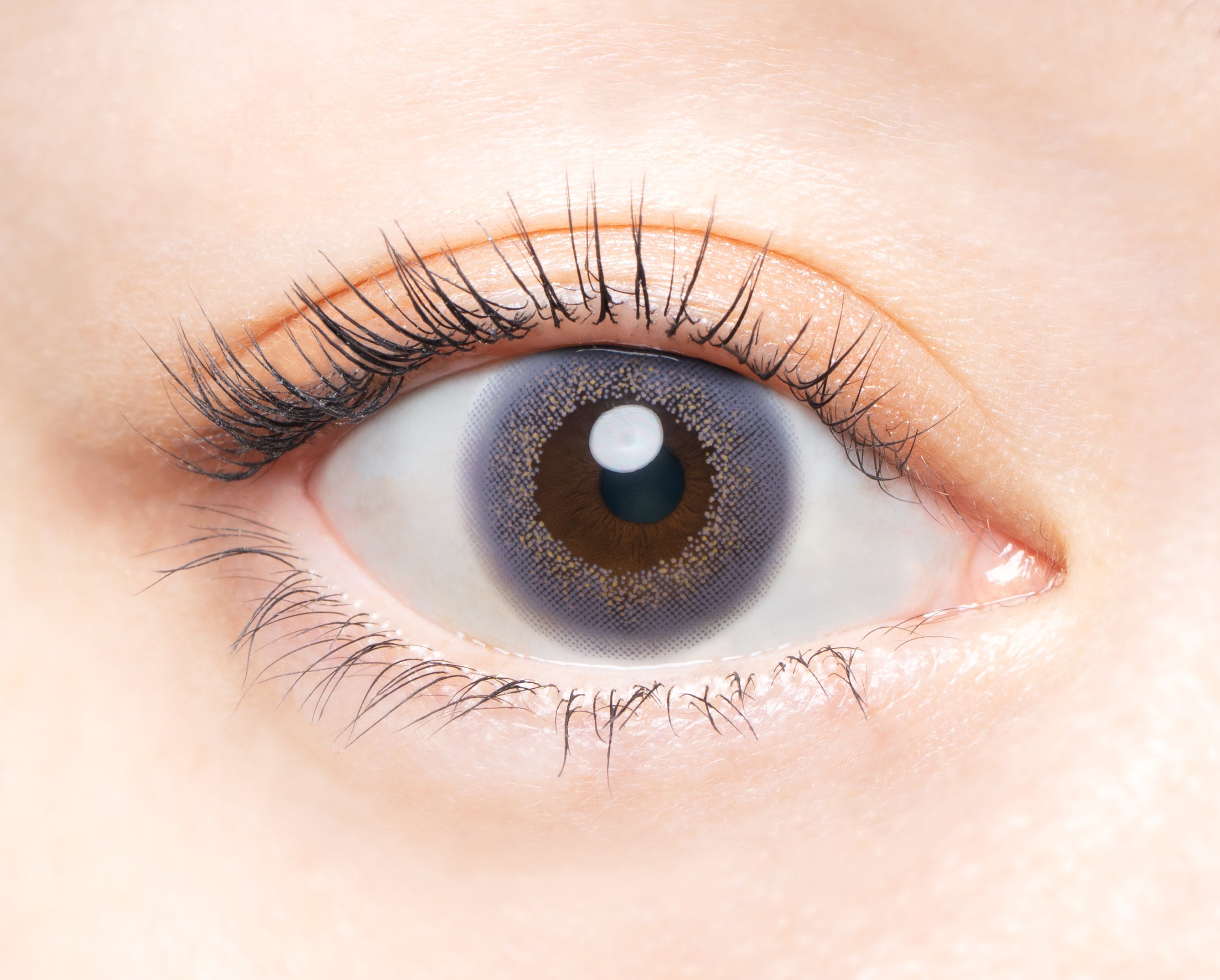 خزامى كلاسيكي | 1 يوم