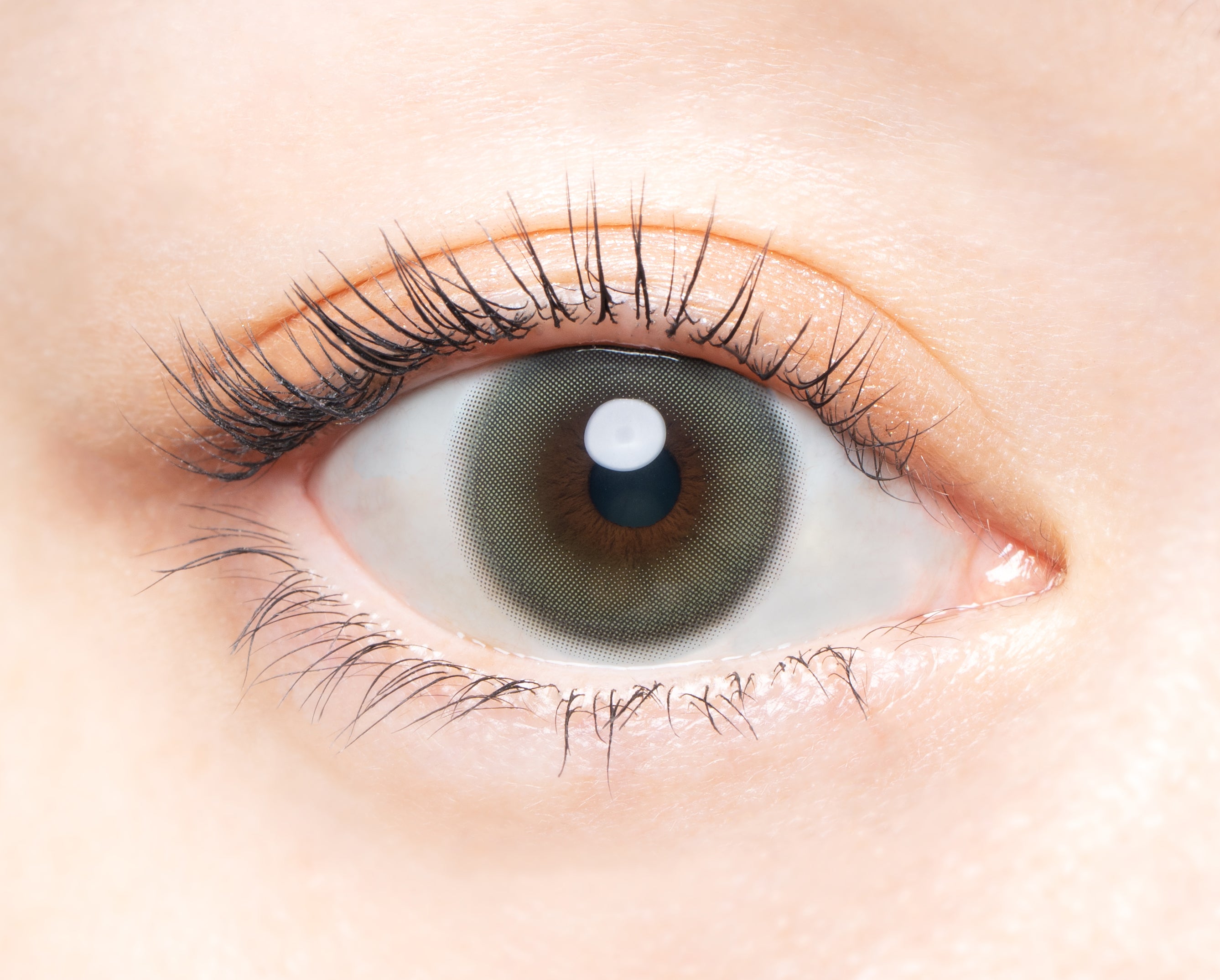 Peringkat Pentas | 1day