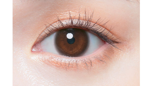 Bébé marron | 1 mois