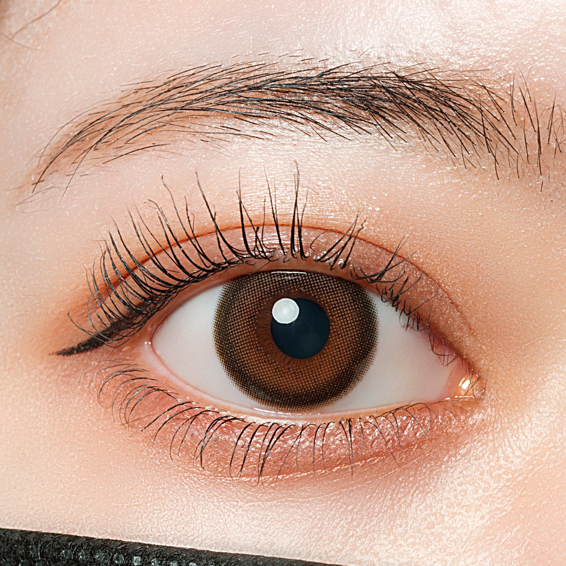 glaceGrisMarron | 1 jour