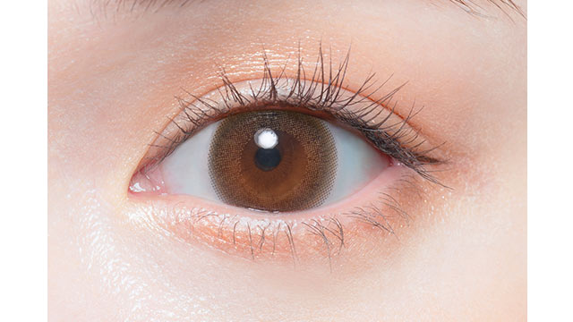 쉬폰브라운 | 1개월용