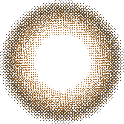 초콜릿 코스모스 | 초콜릿 코스모스 1일용
