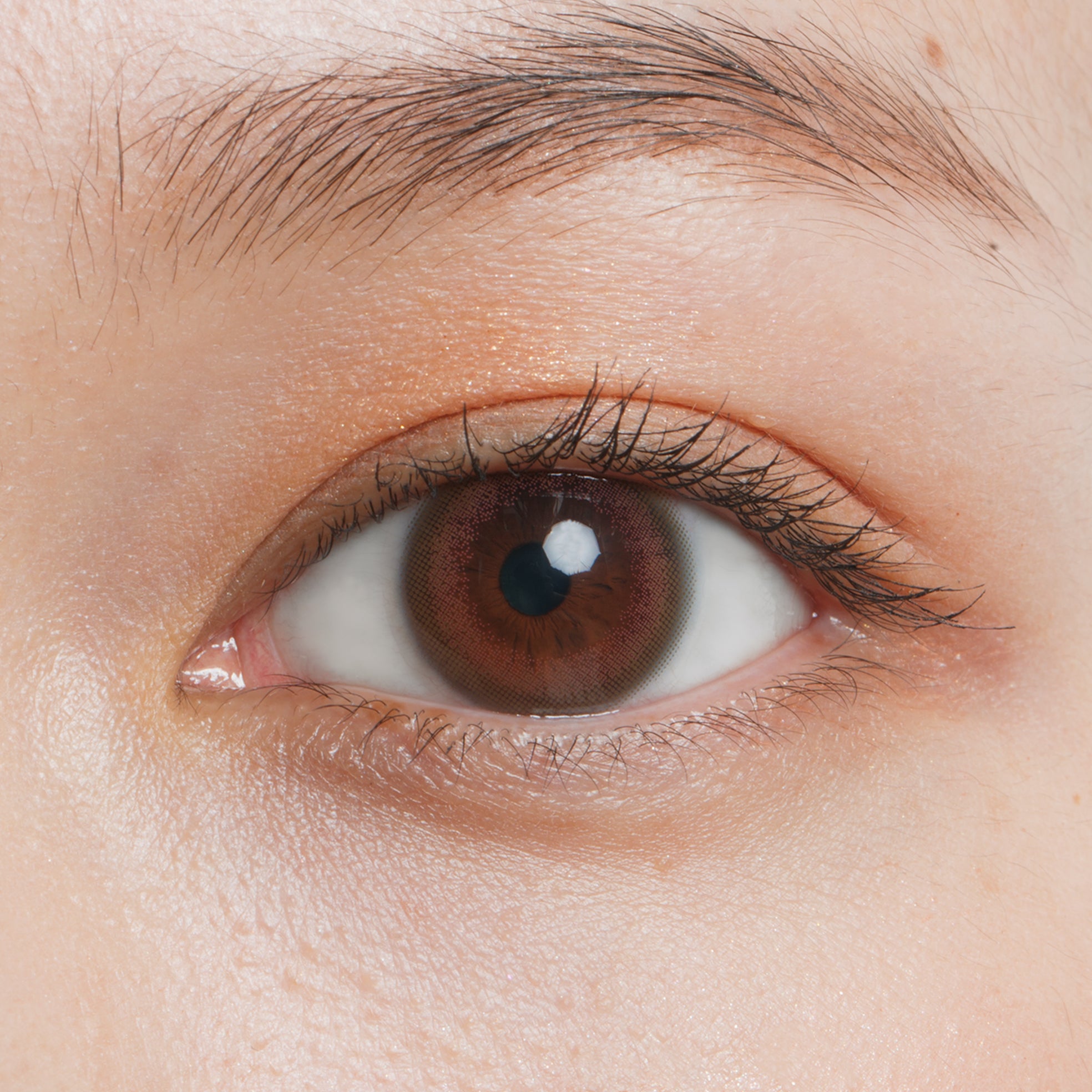 คอตตอนออลีบ | 2 สัปดาห์