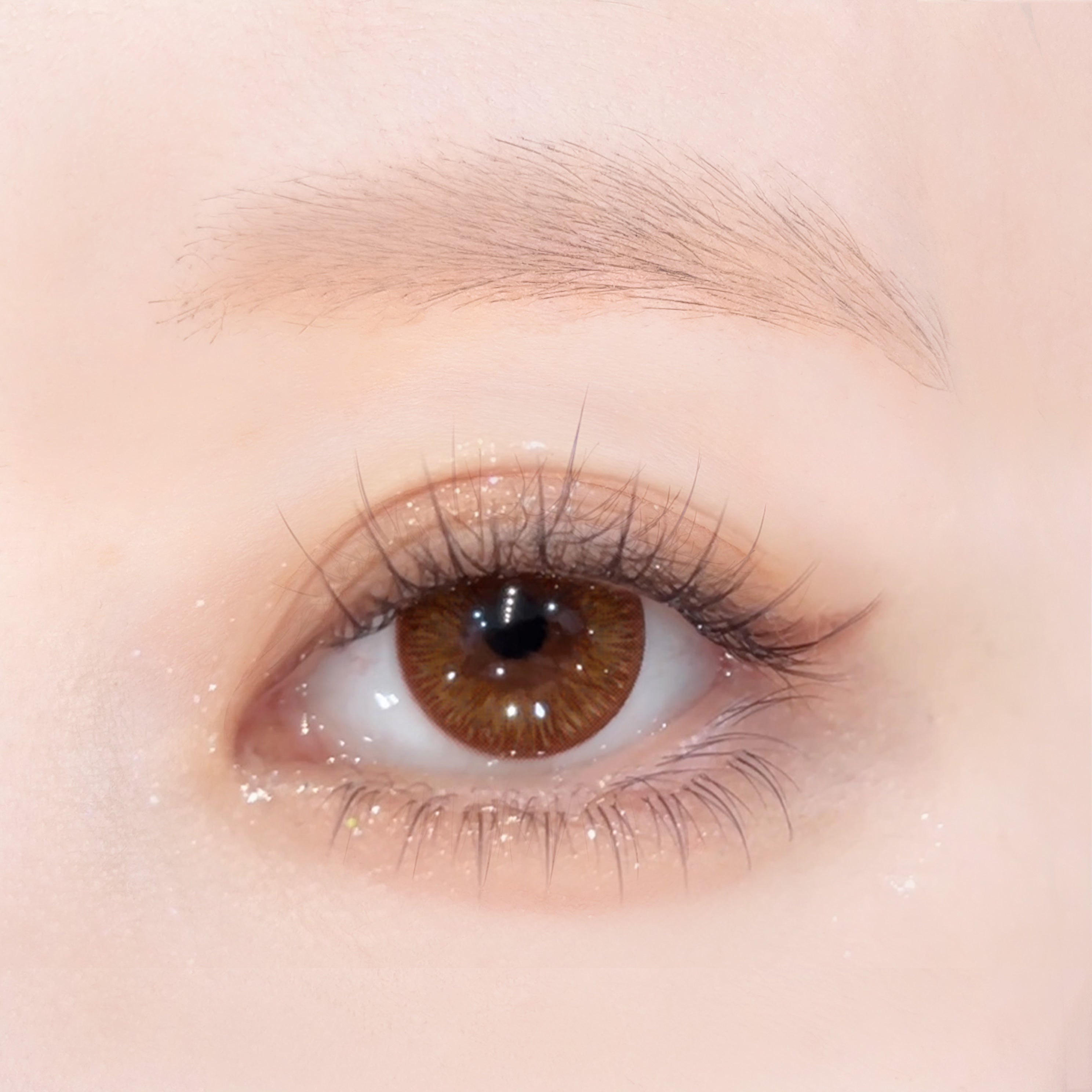 Emma Chocolat |. 1 dia