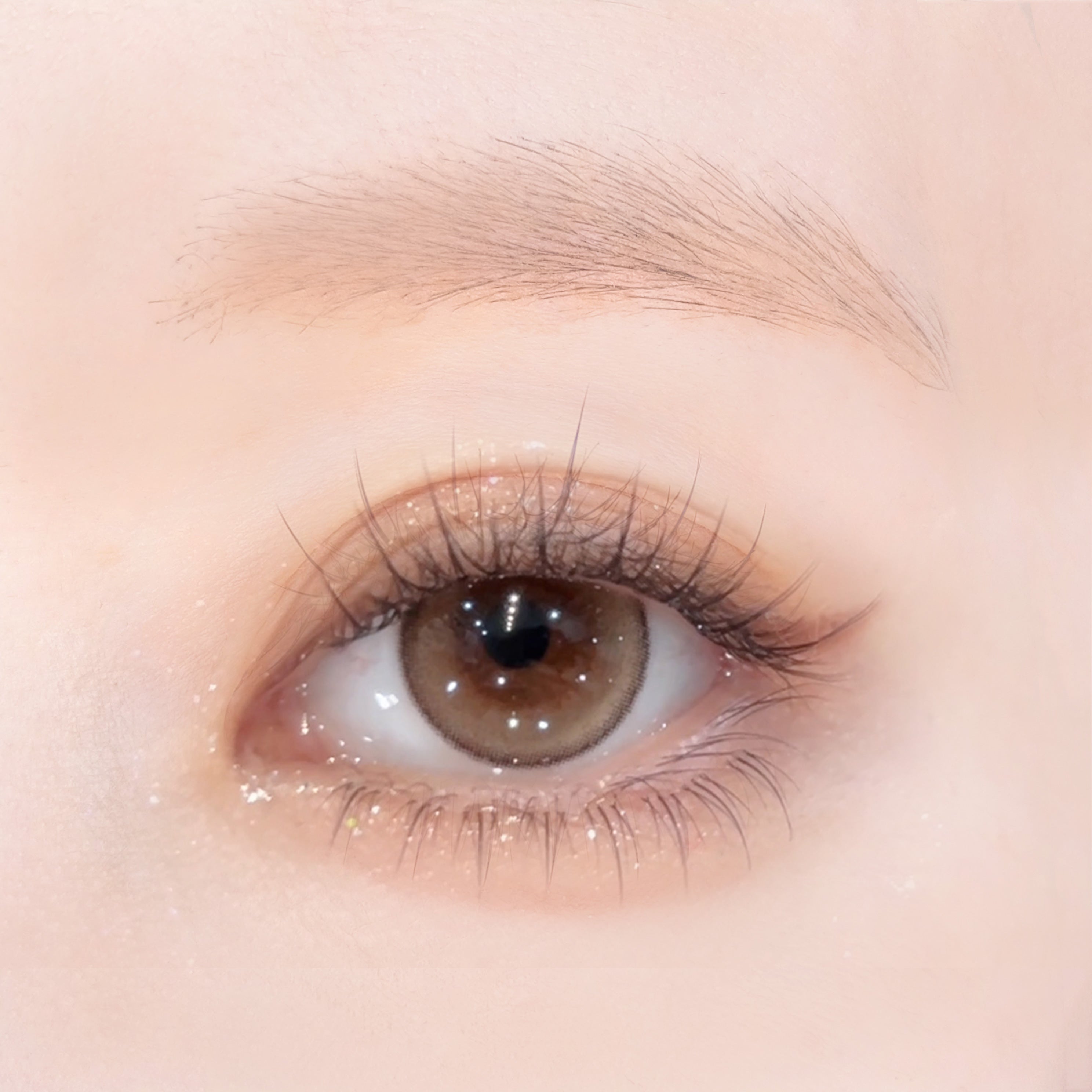 Serena.Castanho | 1 dia