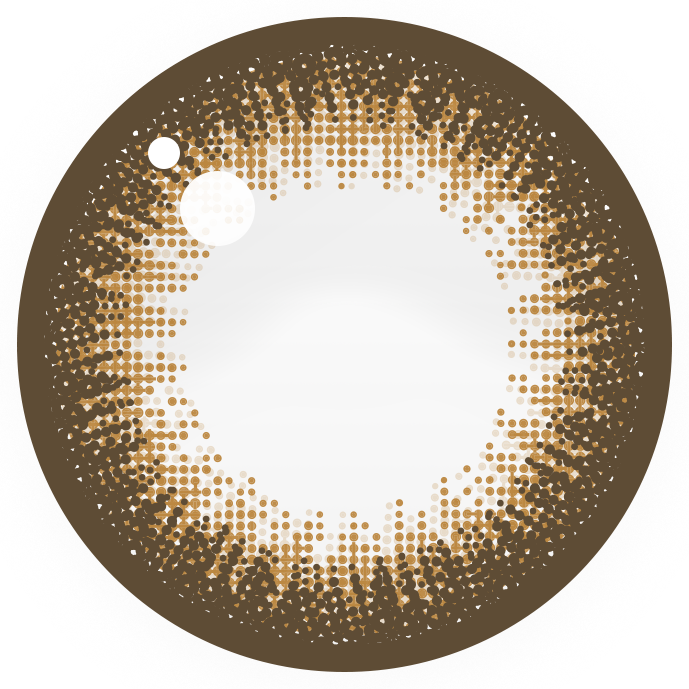 샴페인브라운 | 1일용