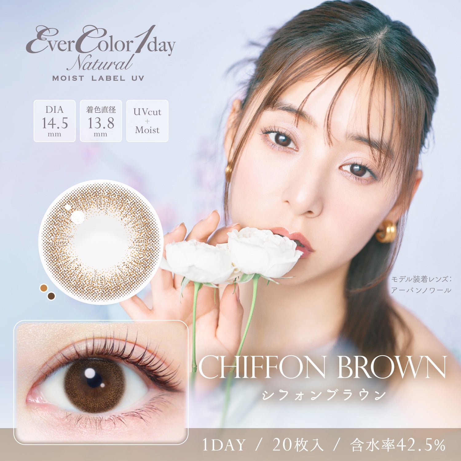 Chiffon Brown [EverColor] | 1day Colored Contact Lens - DIA 14.5mm