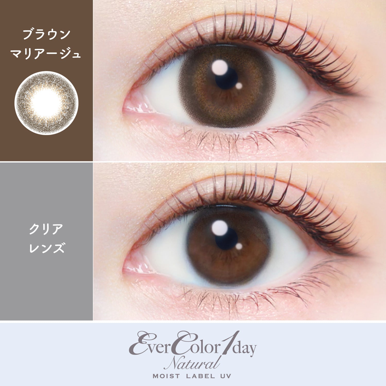สีน้ำตาลการแต่งงาน | 1วัน