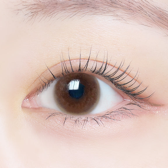 쉬어브라운 | 시어브라운 2주용