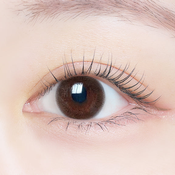 시크브라운 | 2주용