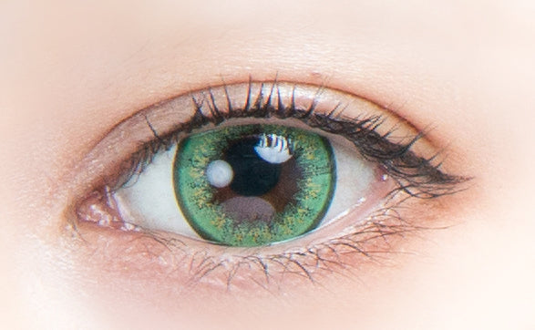 كلوفر | 1 يوم