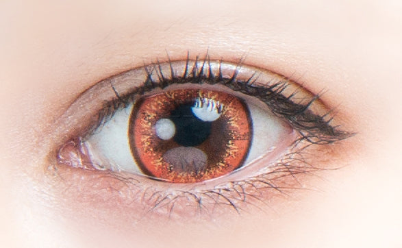 موكالا | 1 يوم