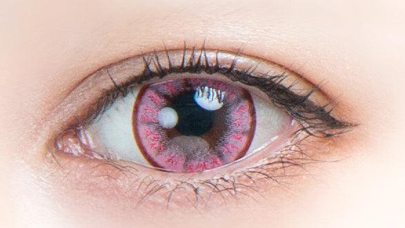 피오니 | 피오니 1일용