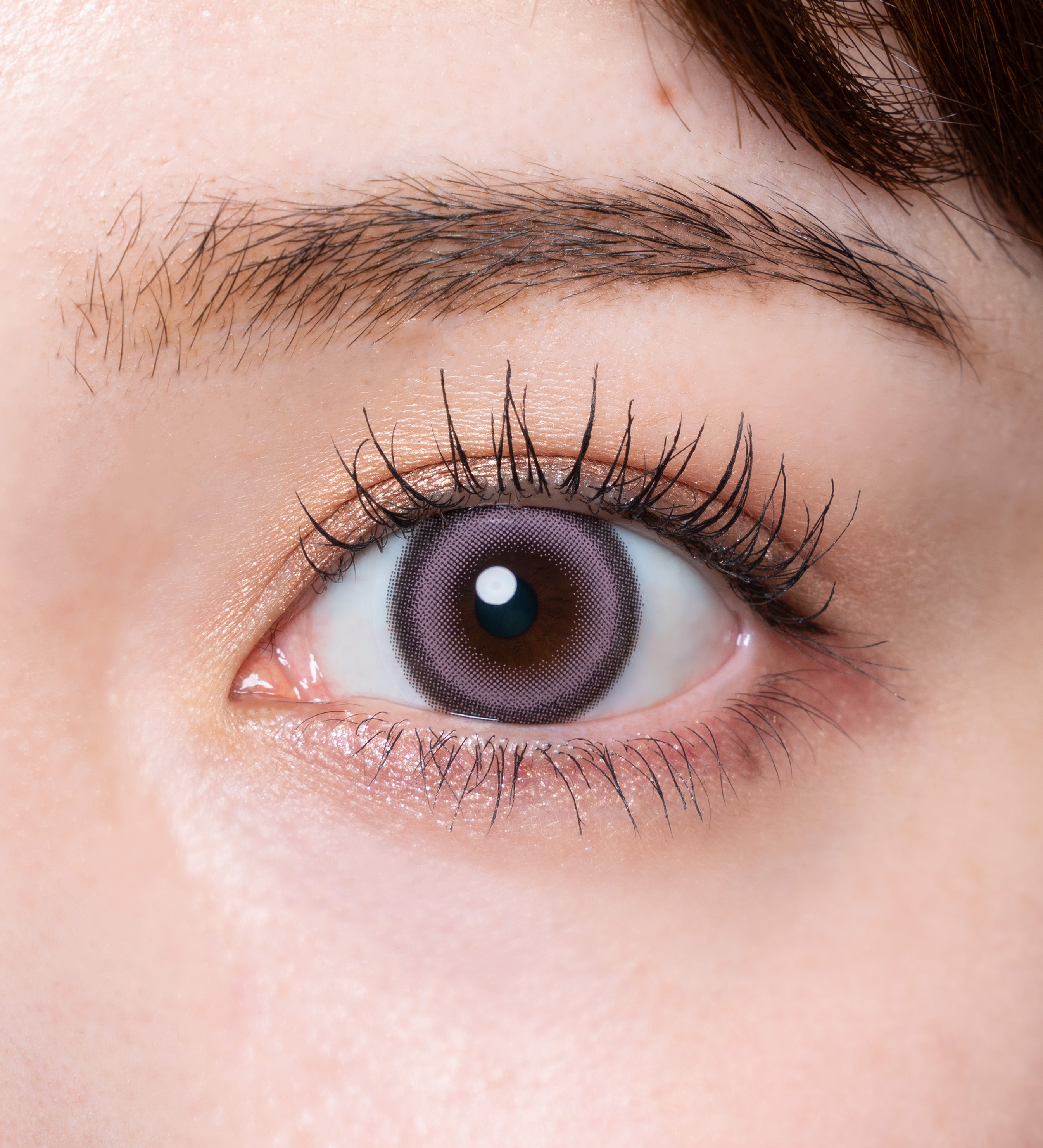 Amour Rosé |. 1 jour