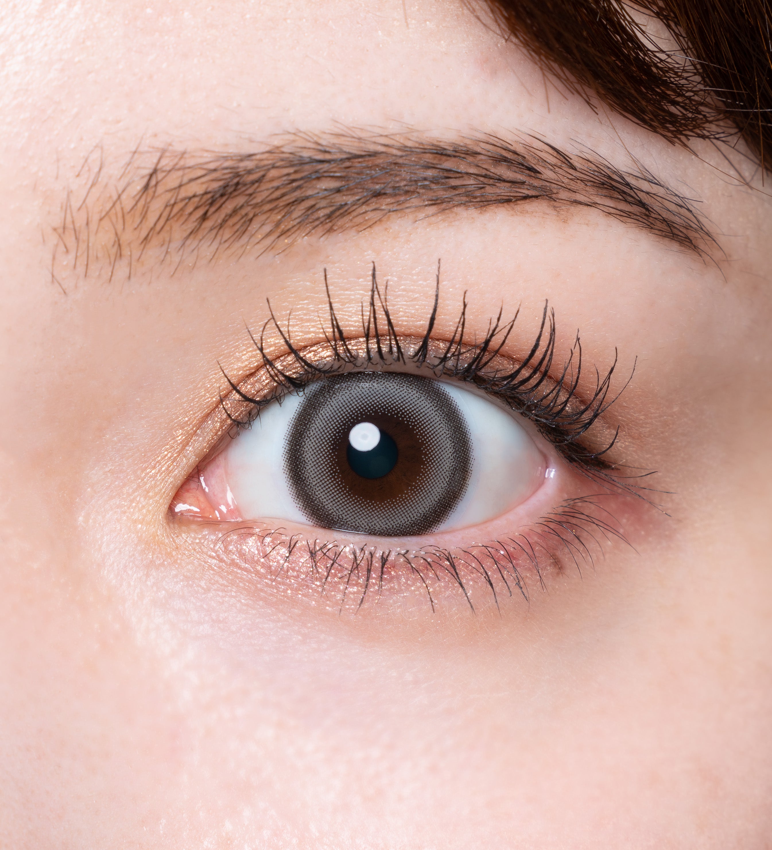 GrisChaton |. 1 jour