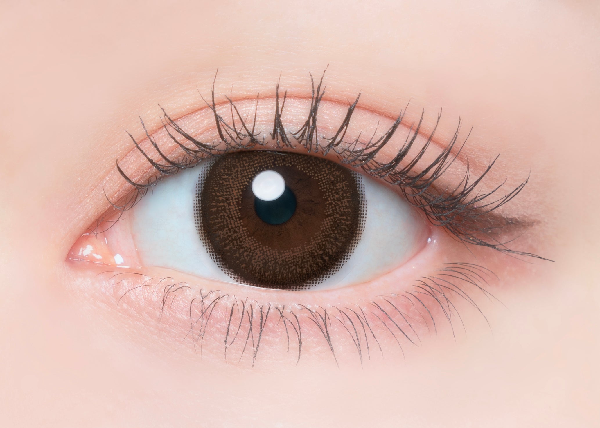 Cialde al cacao. 1 giorno