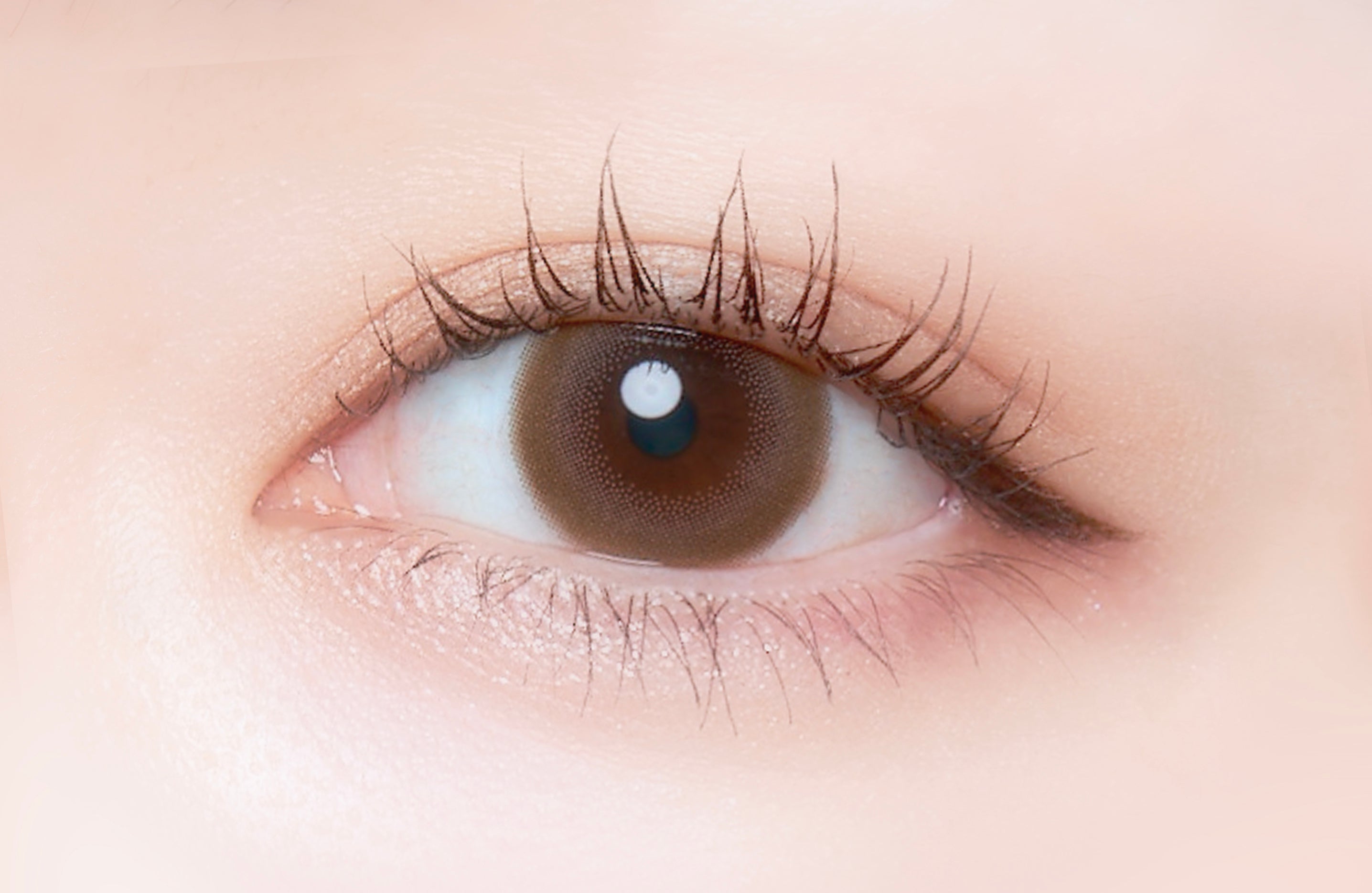 Blush beige | 1 jour