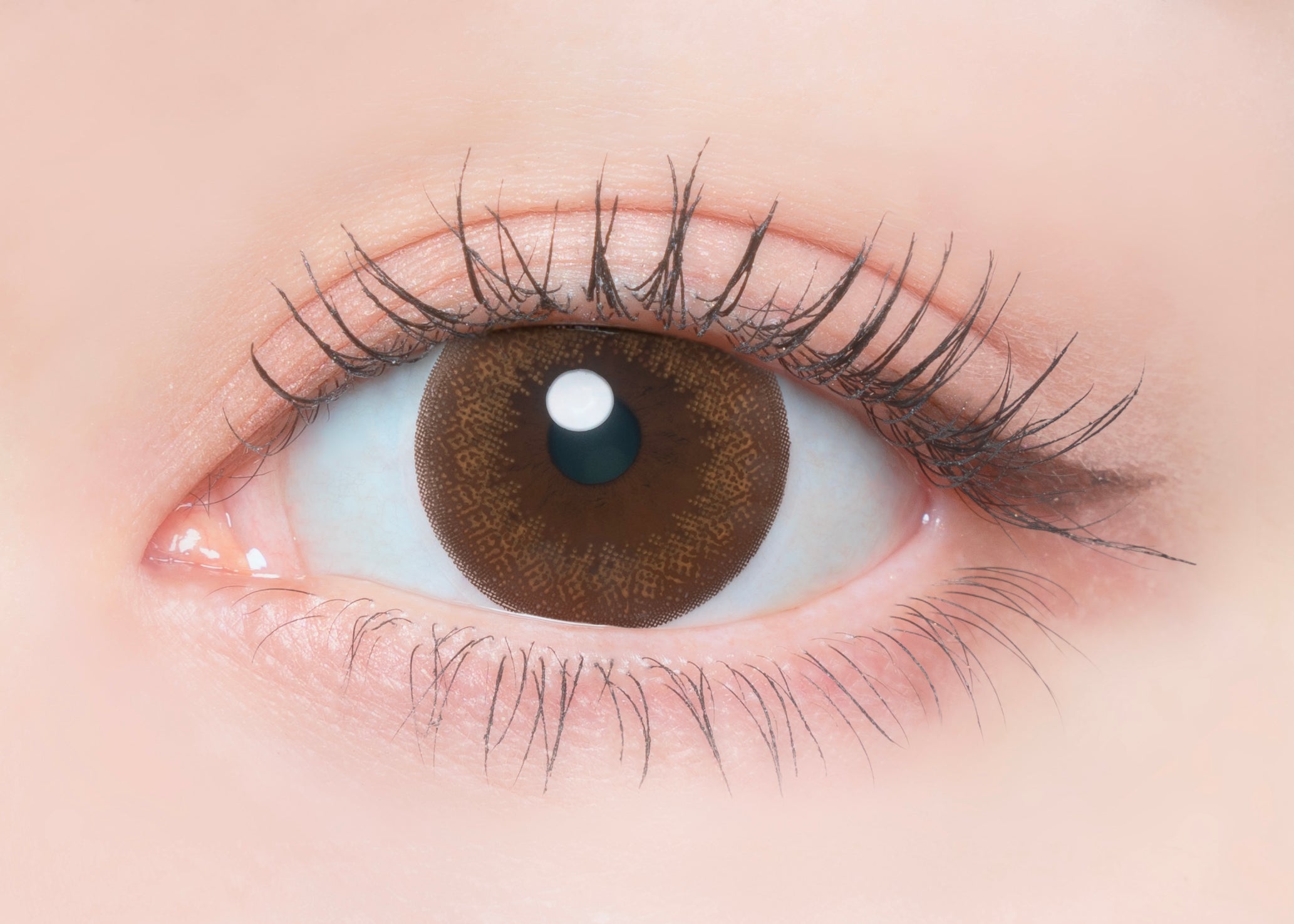 ciambellaMarrone | 1 giorno