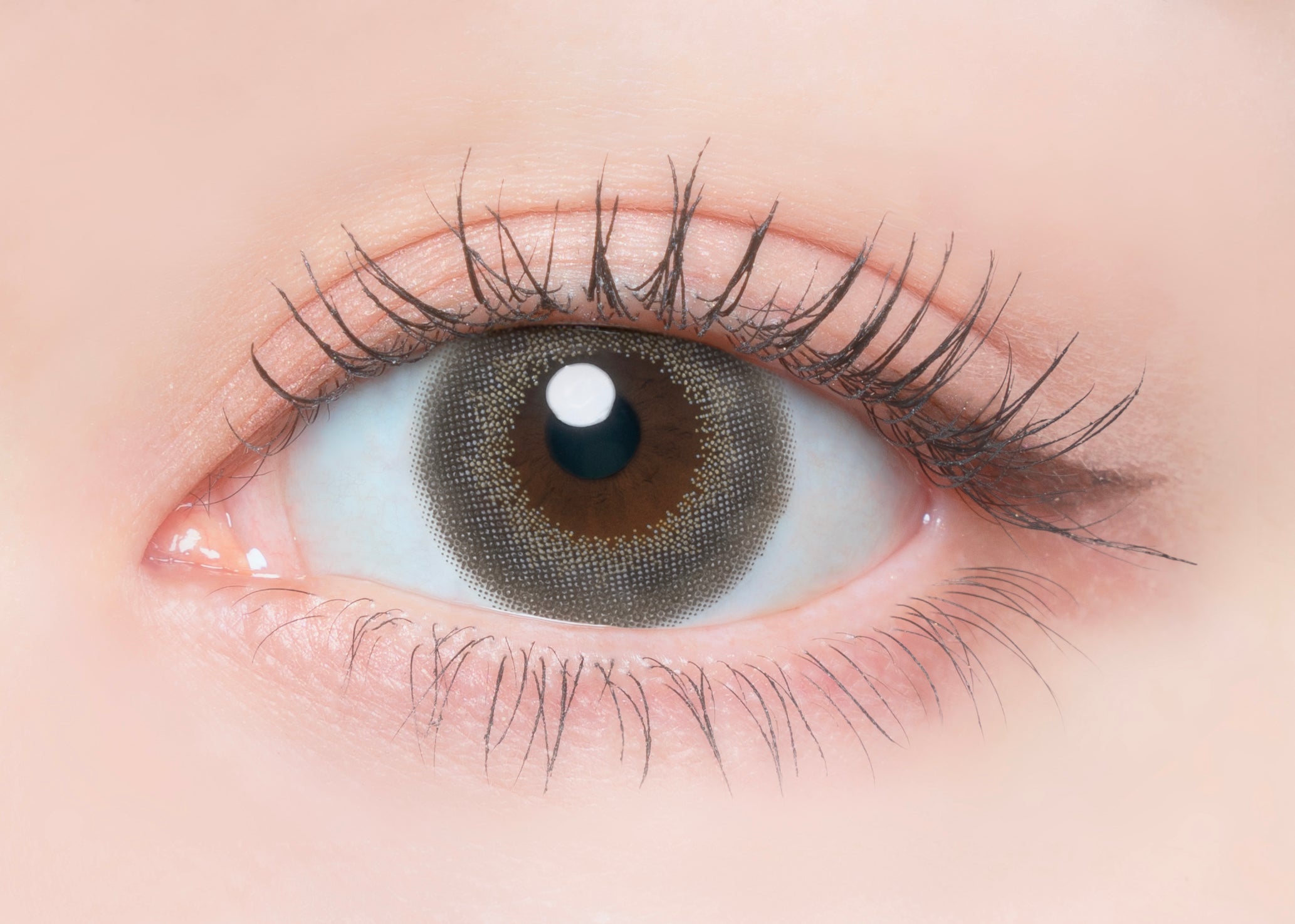 Balsamo di sesamo. 1 giorno