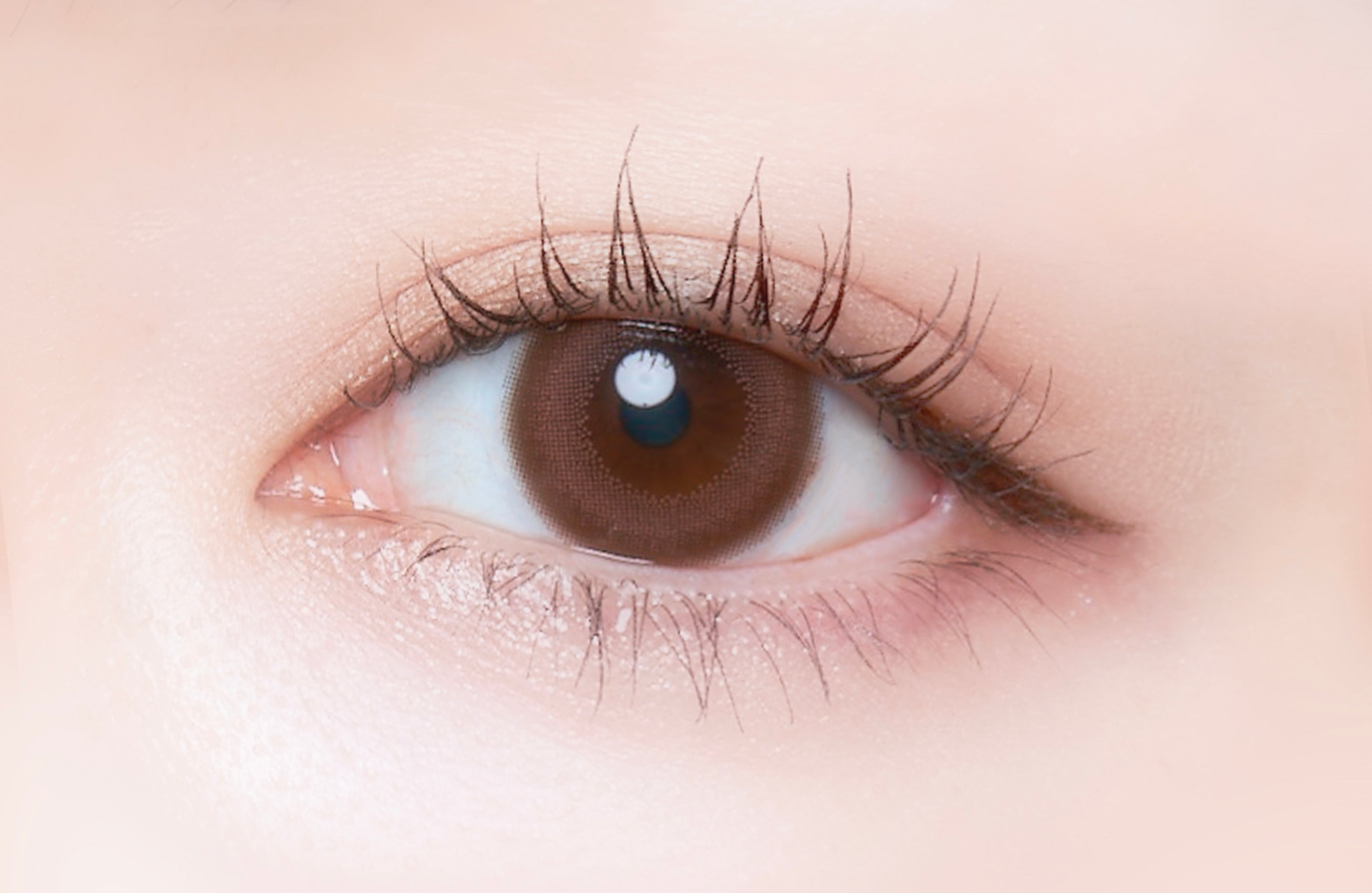 Mellow Rose |. 1 dia