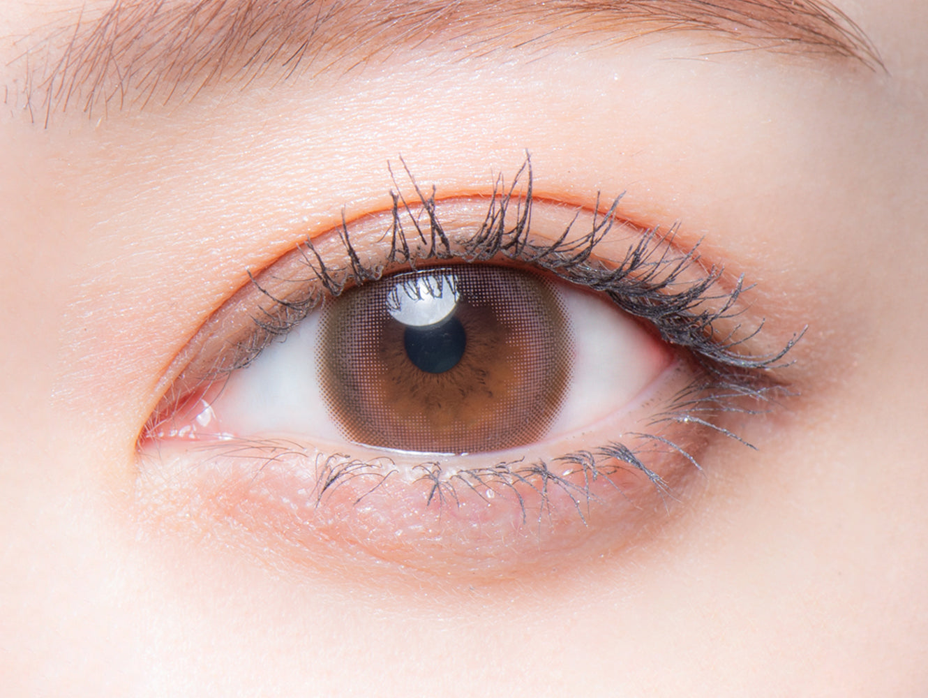 Rosa romantica 1 giorno