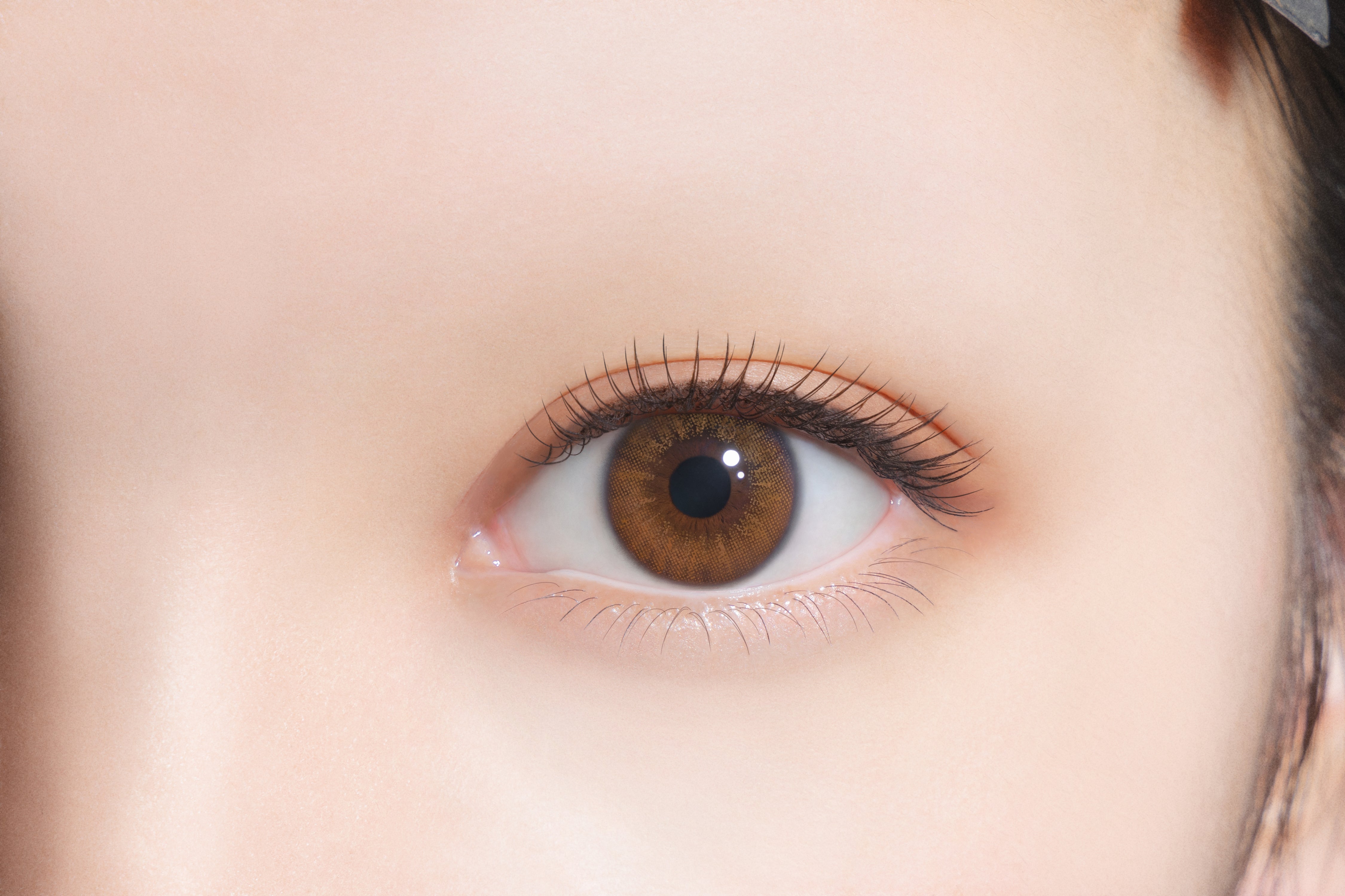 시크릿 츄츄브라운 | 1일용