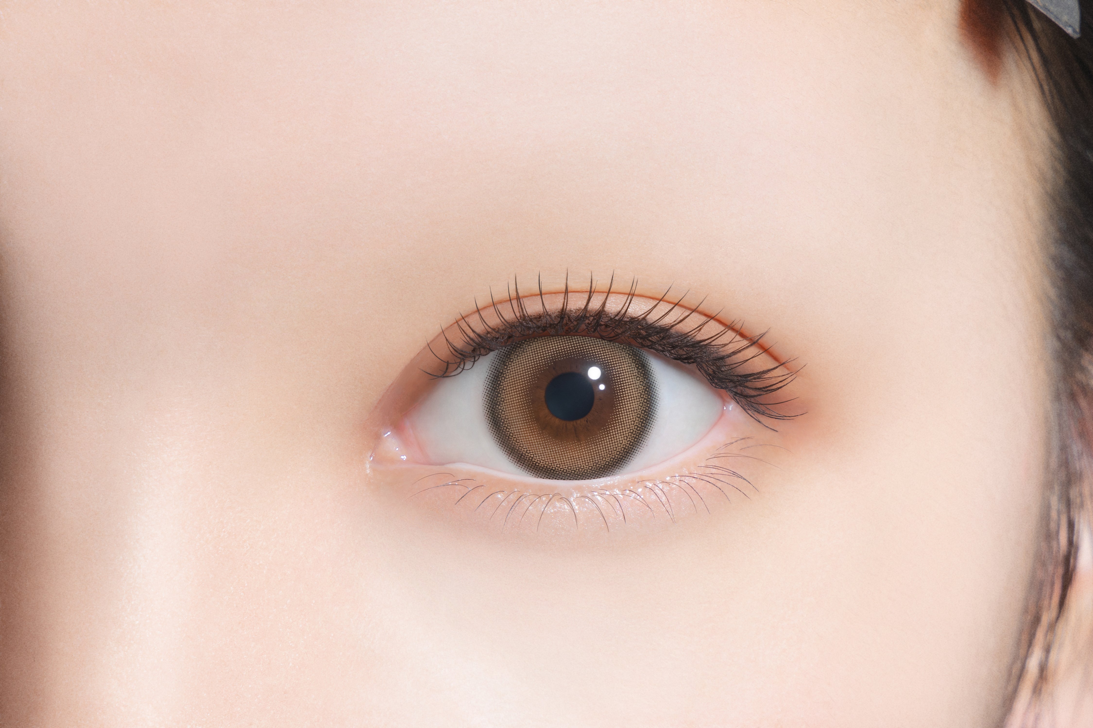 frusta (panna, ecc.)Marrone | 1 giorno