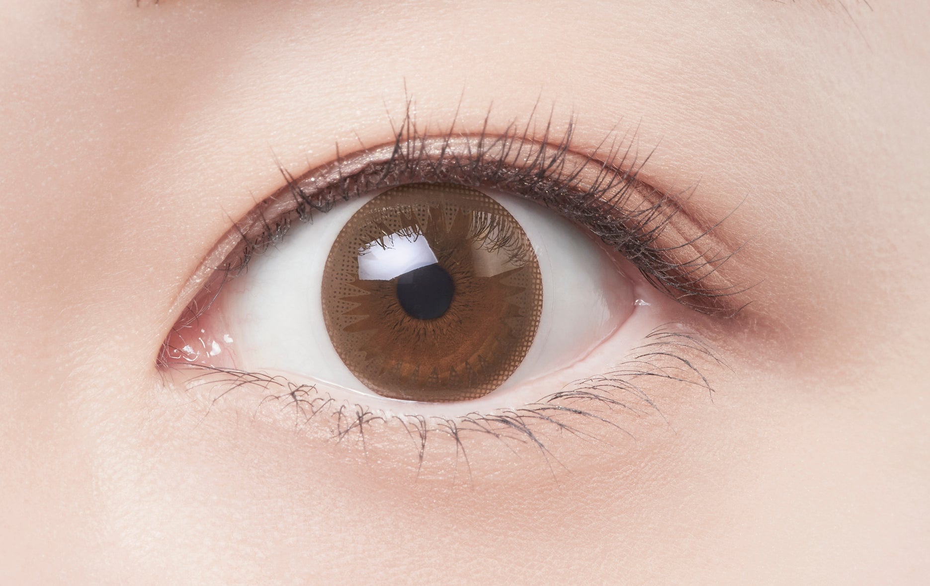 Trucco di base (leggero)Marrone) | 1 giorno