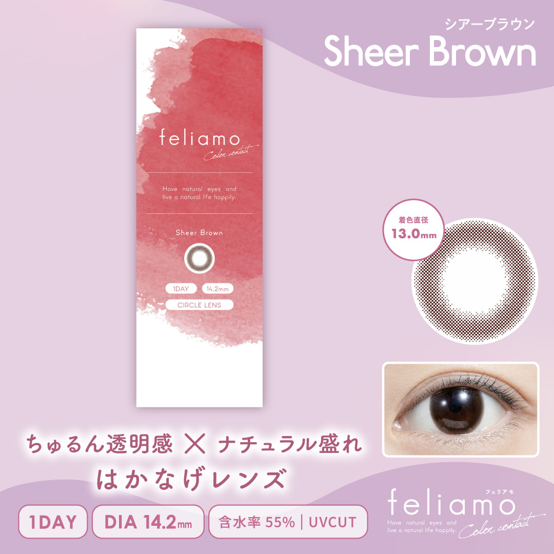 Sheer Brown [feliamo] | 1day Colored Contact Lens - DIA 14.2mm