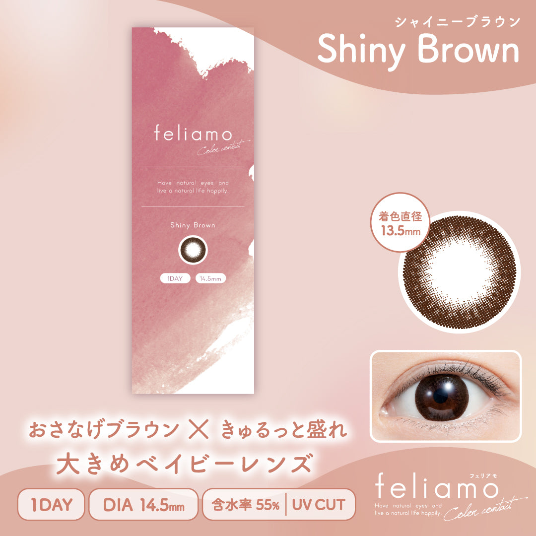 Shiny Brown [feliamo] | 1day Colored Contact Lens - DIA 14.5mm