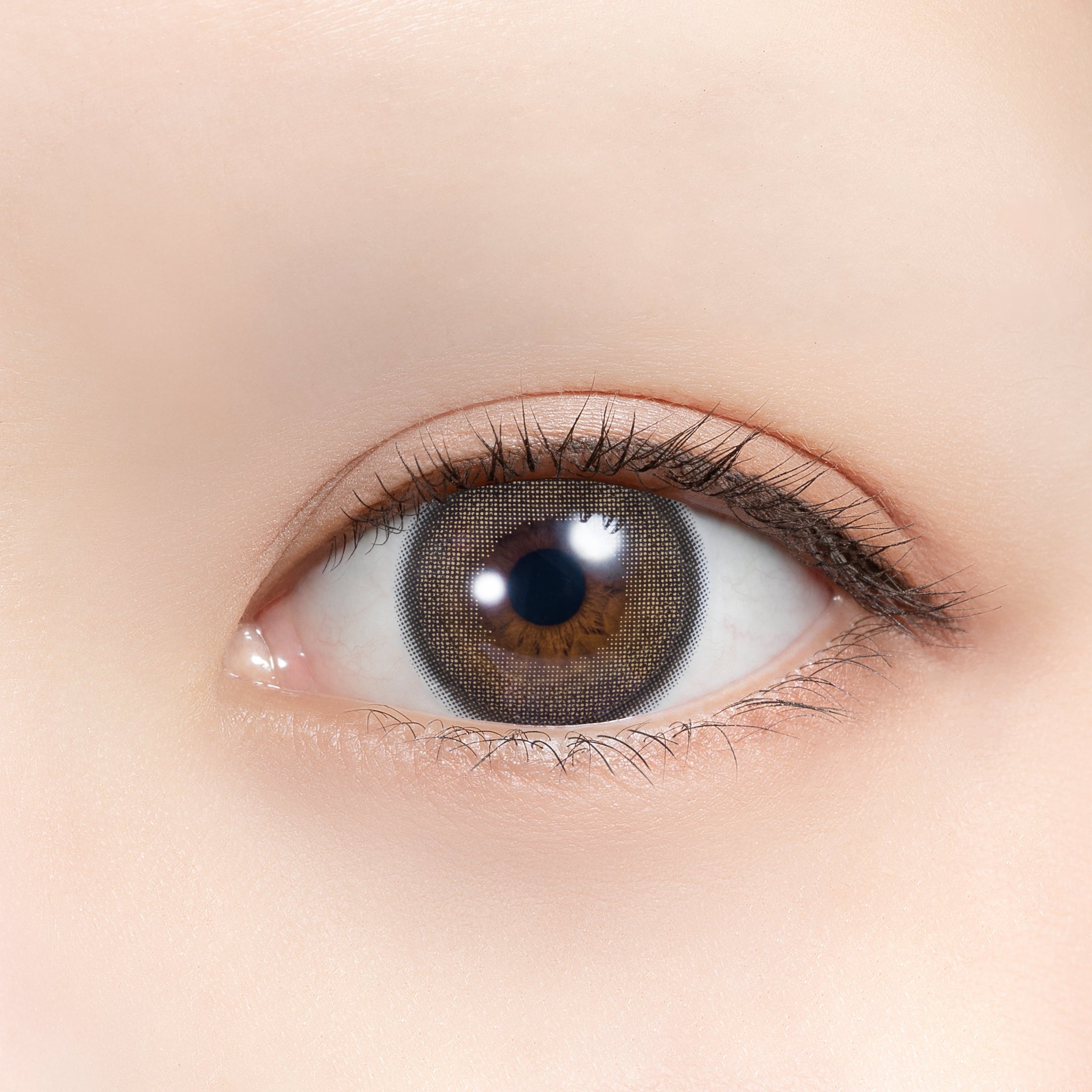 Armando Poodle | 1 mese