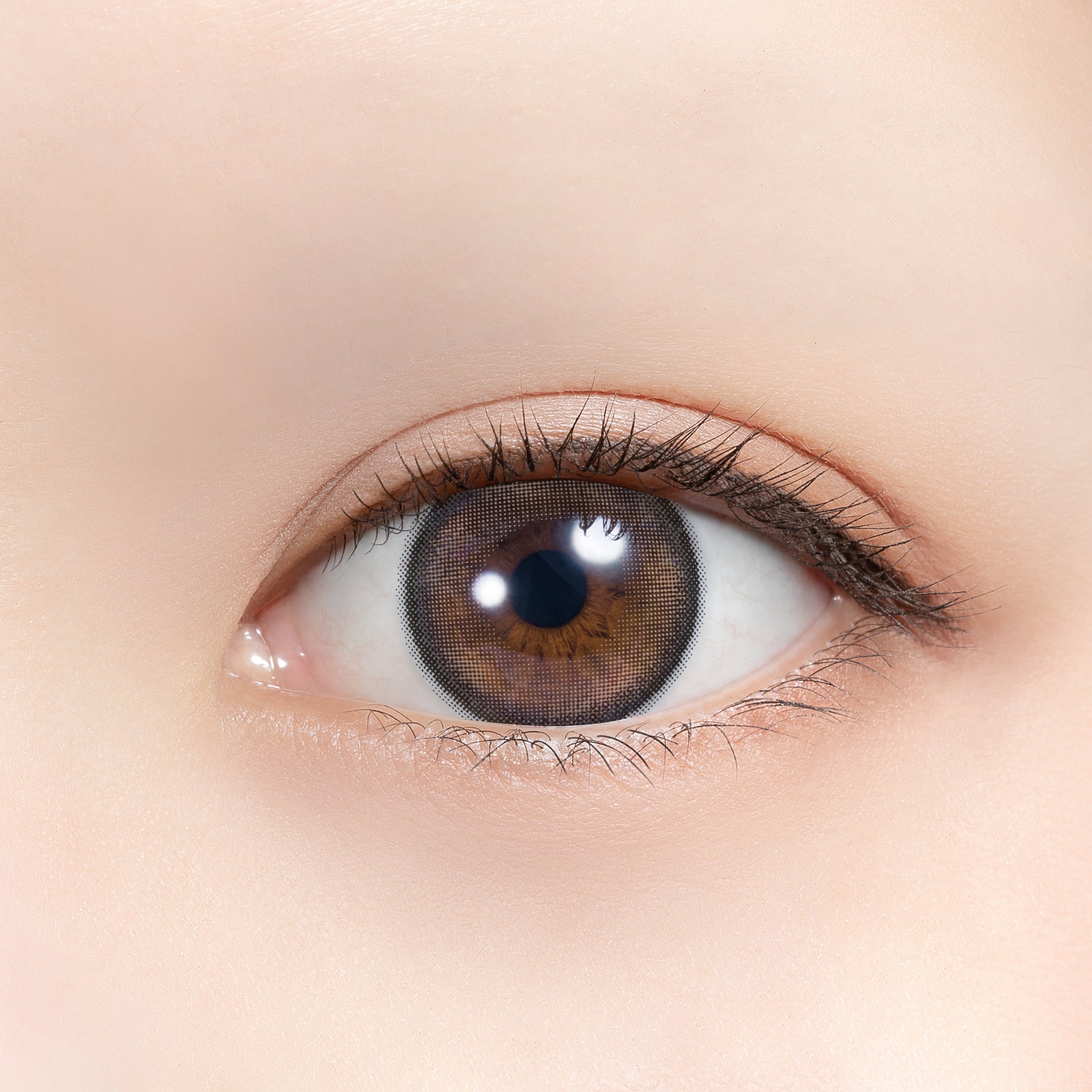 블루레파르 | 1일용