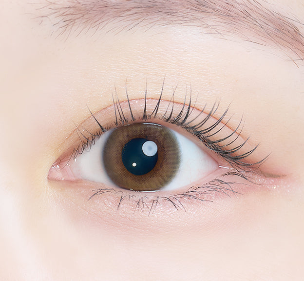 Transparência Véu | 1 dia