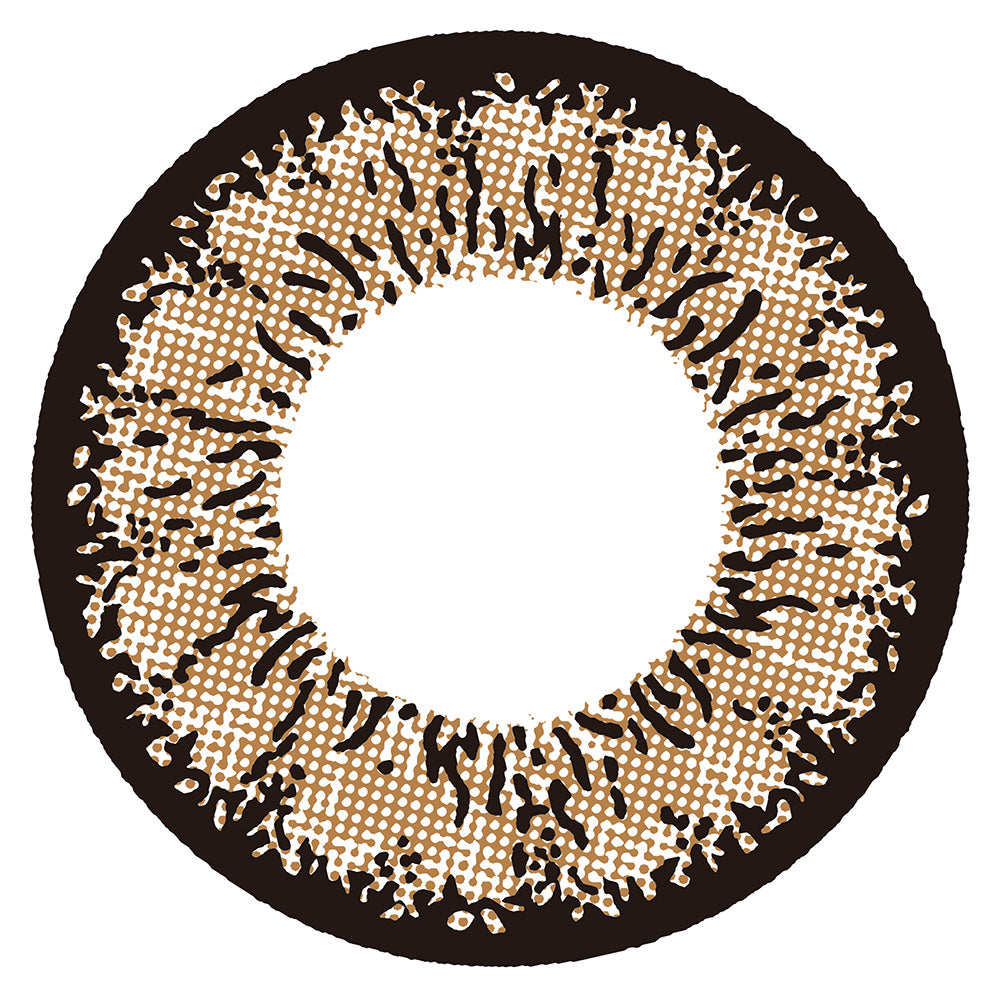 돌체코코넛브라운 | 1day