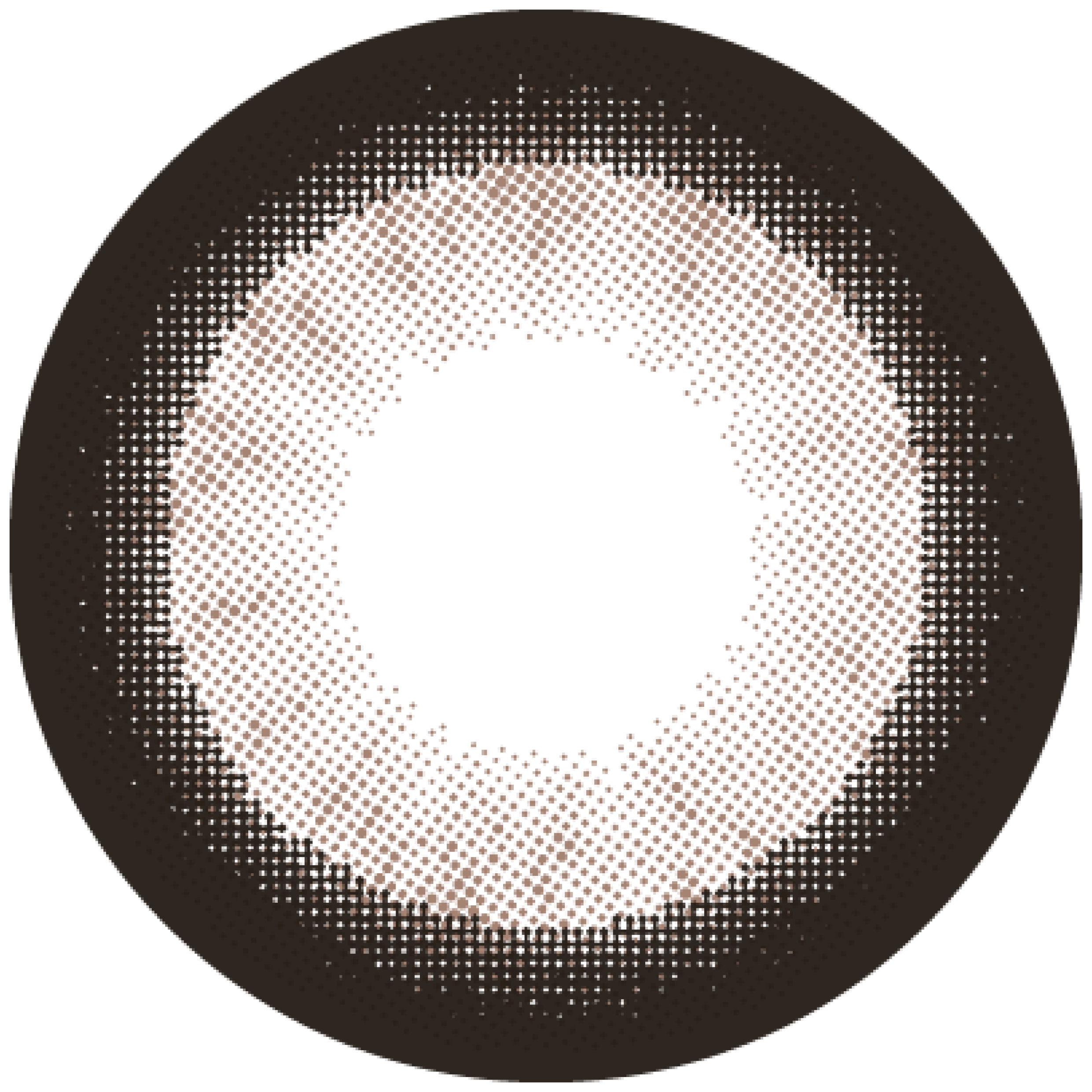 สีดำビジュー | 1วัน