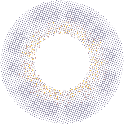 Hoa oải hương cổ điển | 1 ngày