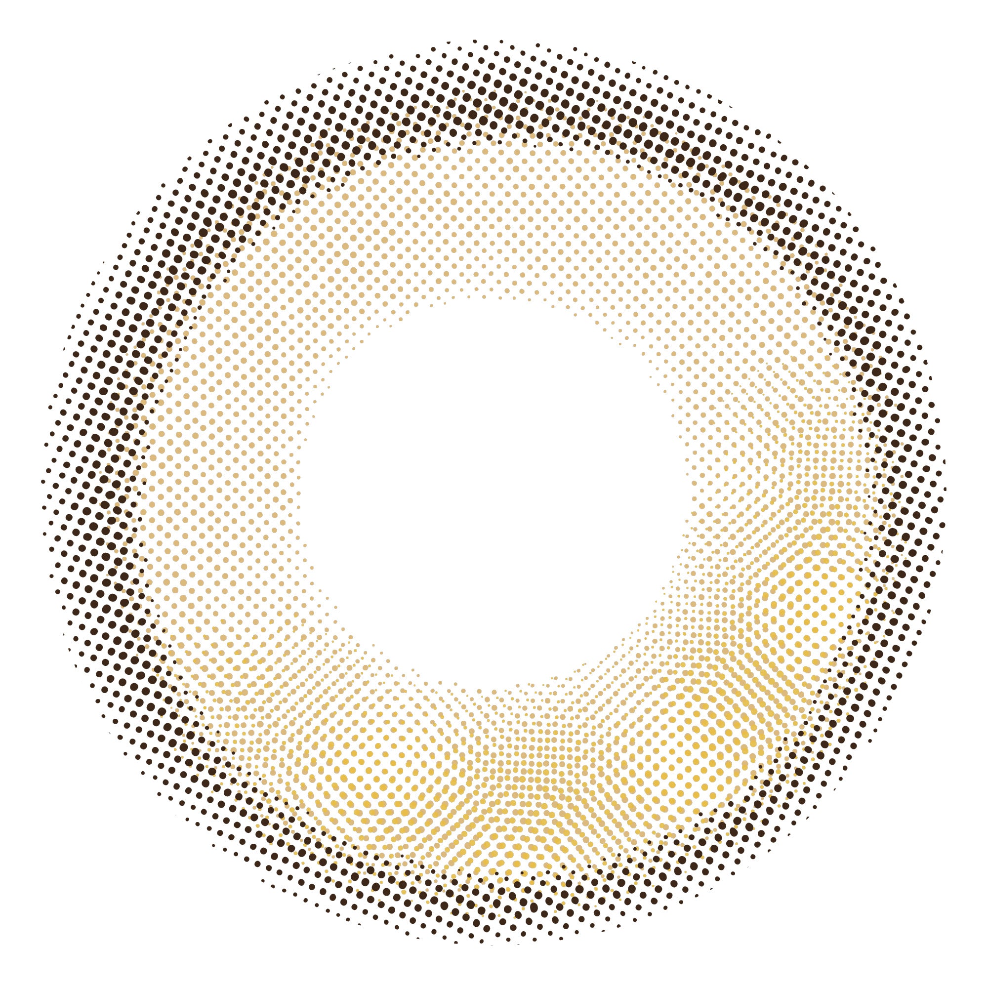 カラーコンタクトレンズ、envie ウォーターモカベージュ | 1day 10枚入のレンズ画像