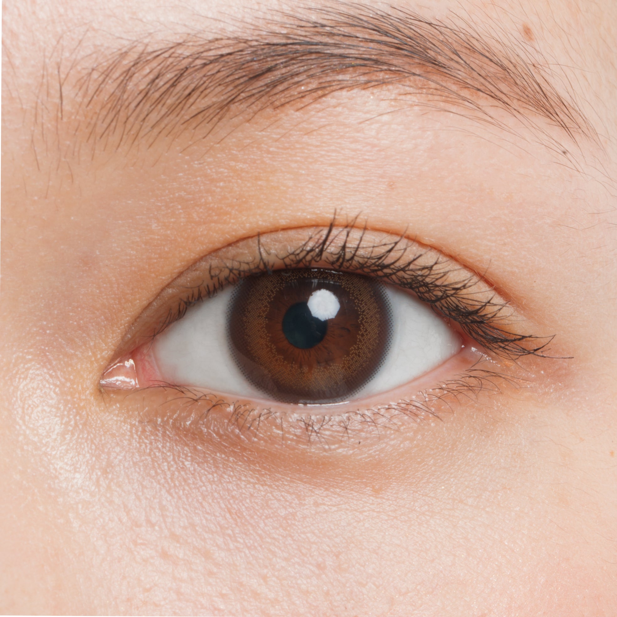 รูースสีดำ | 2 สัปดาห์