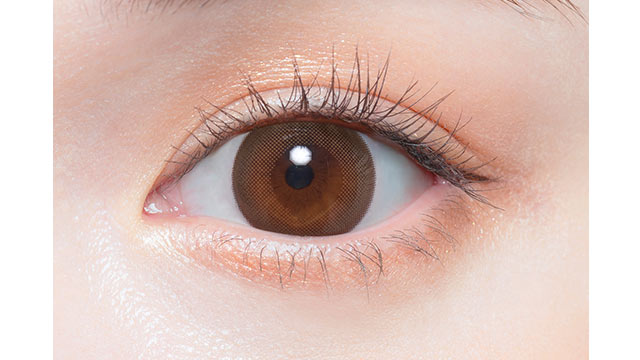 모이스트브라운 | 1개월용