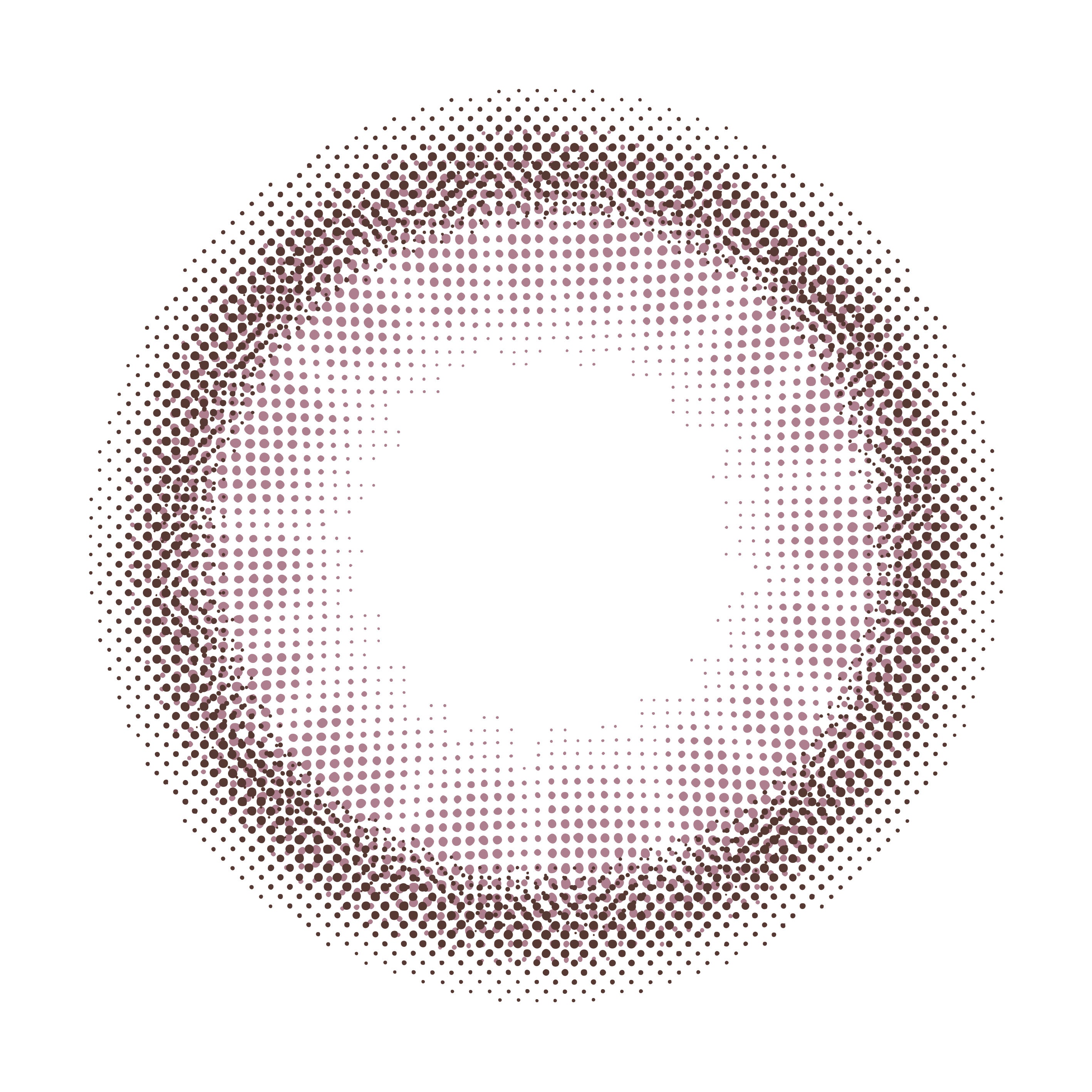 Rosa bugiarda 1 giorno