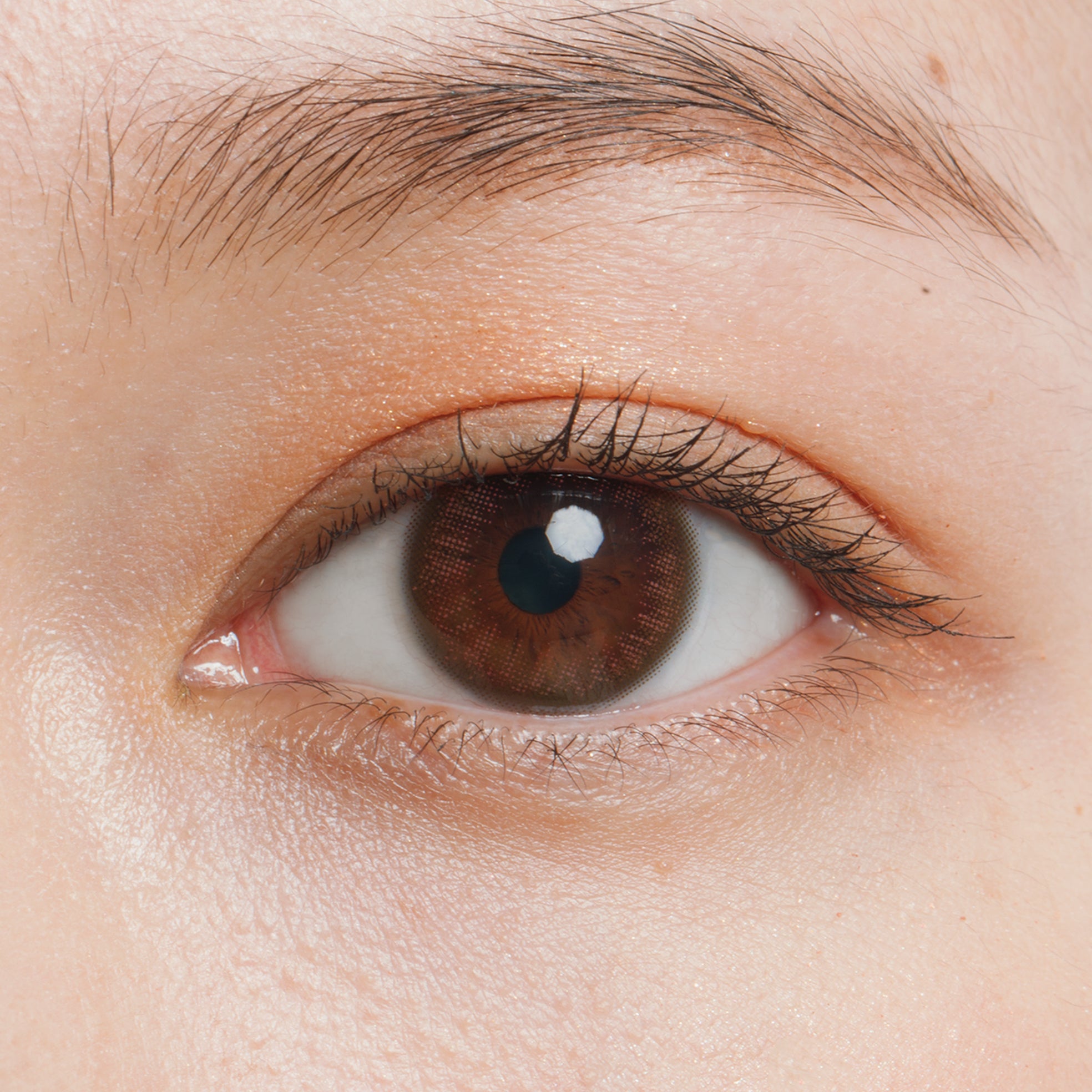 Mellow Khaki |. 2 settimane