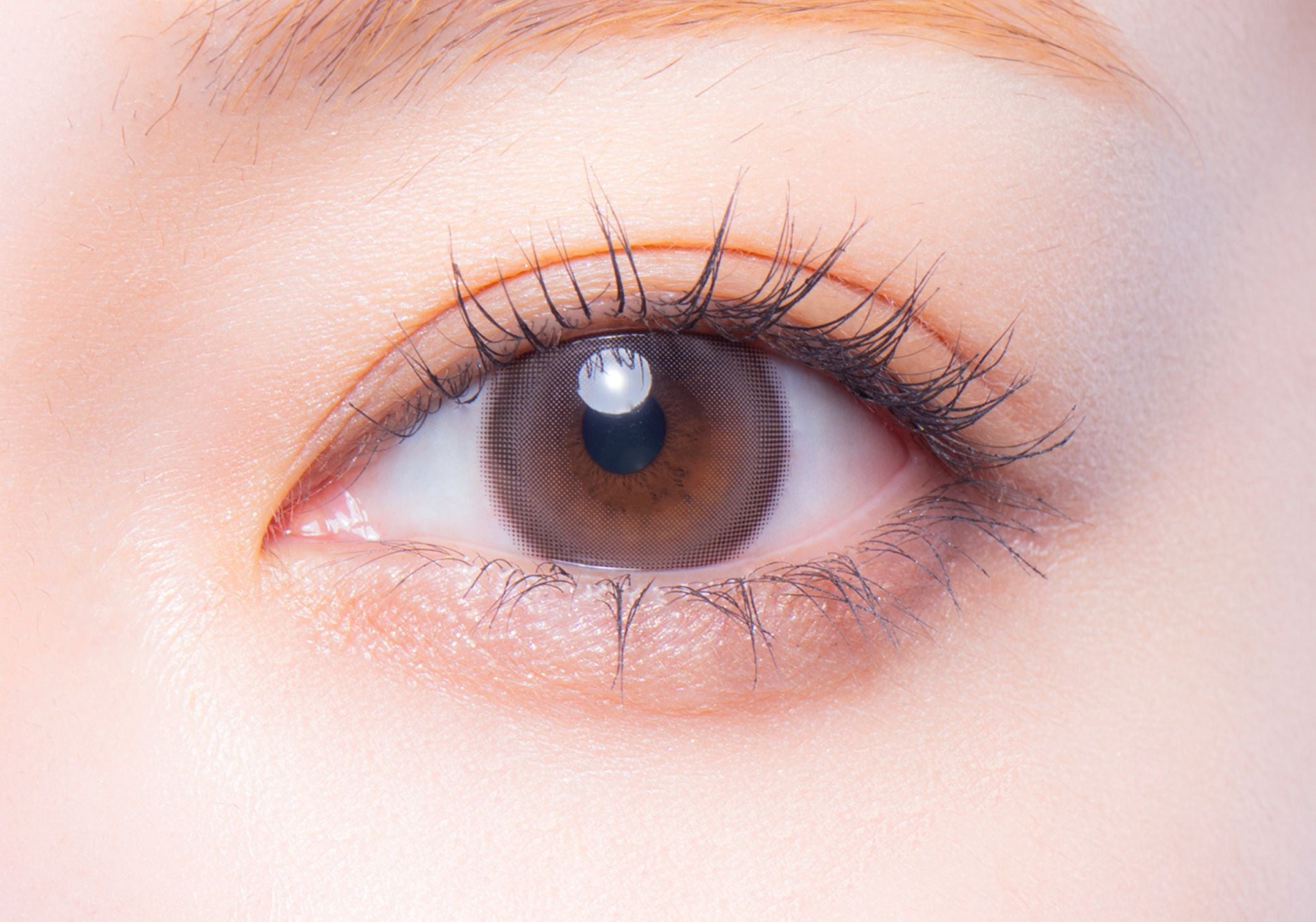 دارلينج التين |. 1 يوم